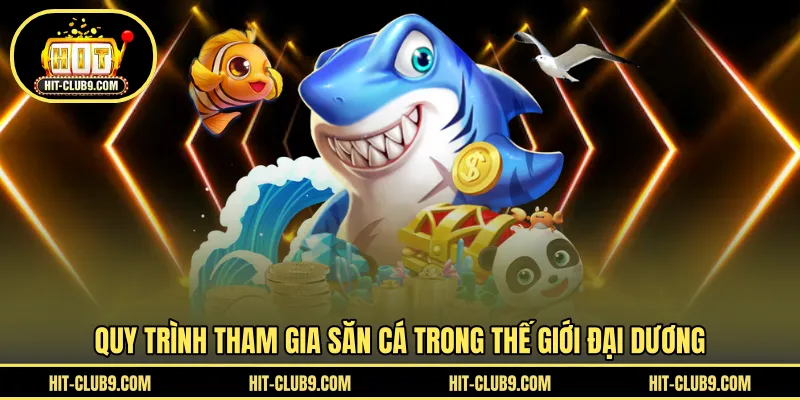 Quy trình tham gia săn cá trong thế giới đại dương